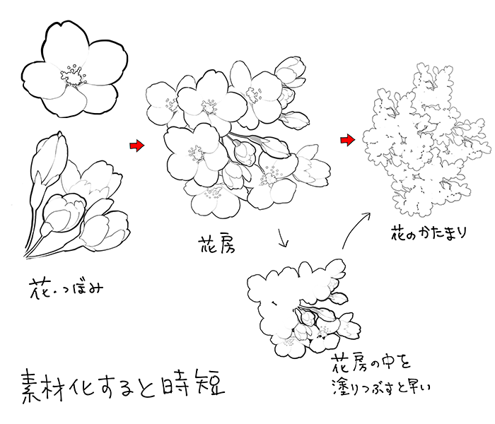 和の花 植物の描き方4選 椿 乙女椿 紫陽花 桜 いちあっぷ