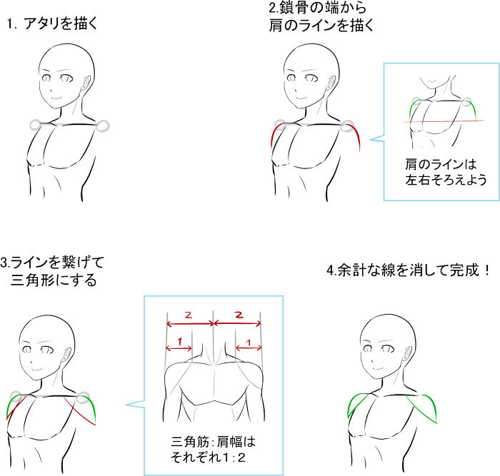 形の丸暗記で地盤を固める 肩の描き方 いちあっぷ