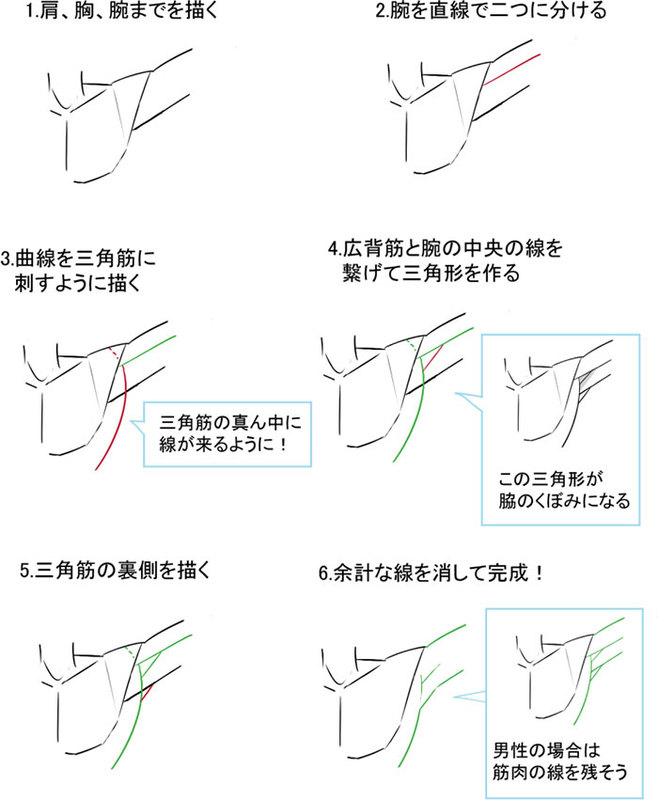 筋肉と骨でシンプルに解説 脇 肘の描き方 いちあっぷ