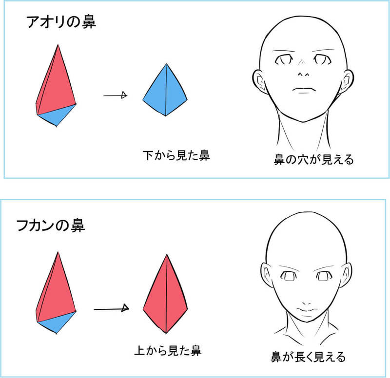 顔の立体感の隠れた主役 鼻の描き方講座 いちあっぷ