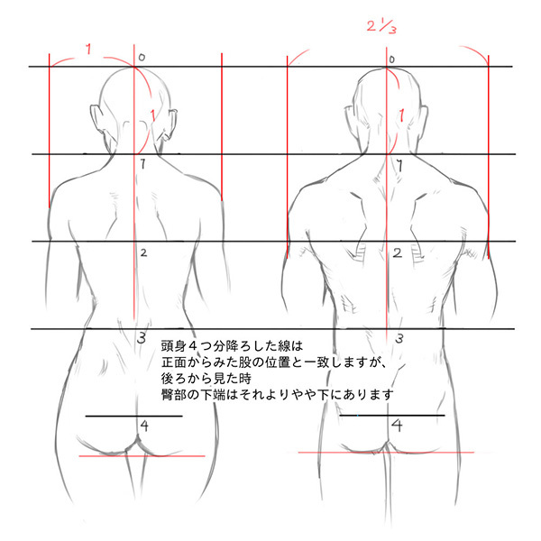 アタリが取れればカッコよく描ける 男女別背中の描き方 いちあっぷ