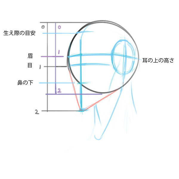 比率のバランスから学ぼう 斜め顔と斜め後ろから見た顔の描き方 いちあっぷ