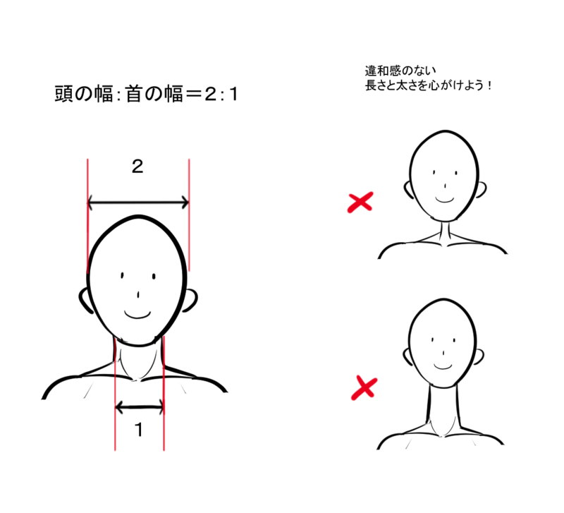 首の構造