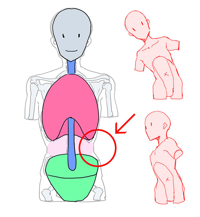 くびれを描く