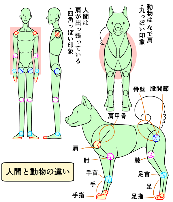 丸 で捉えて攻略 動物のアタリの取り方 いちあっぷ