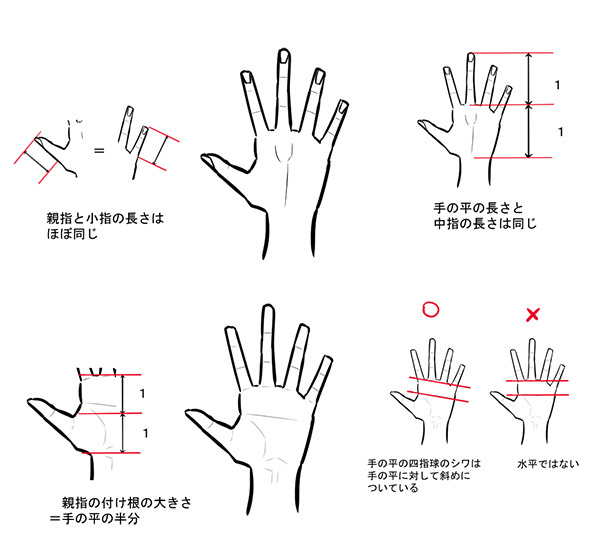 ４つの膨らみ と 消失点 を押さえれば自由自在 手の描き方のキホン