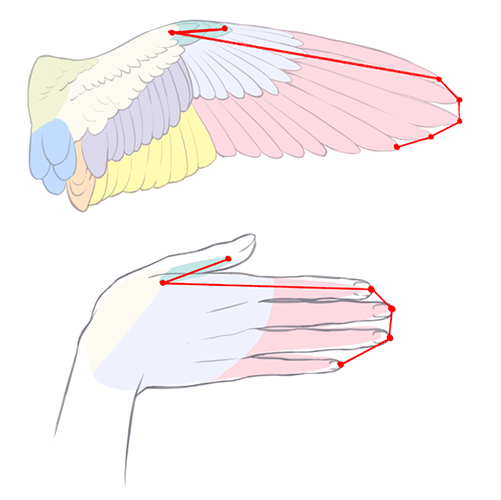 テキトーに描くのはもったいない 見栄え リアルさを融合した翼の描き