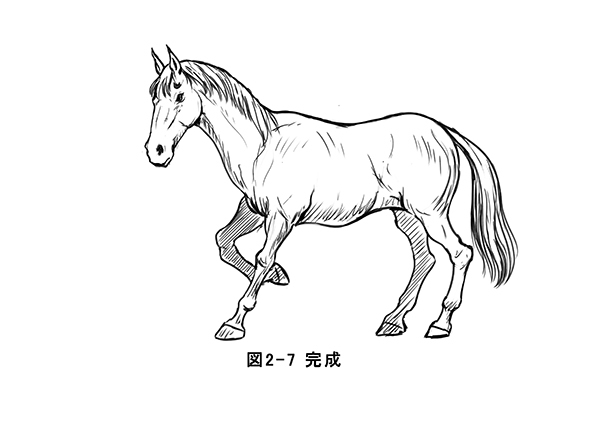 動物 馬 描き方
