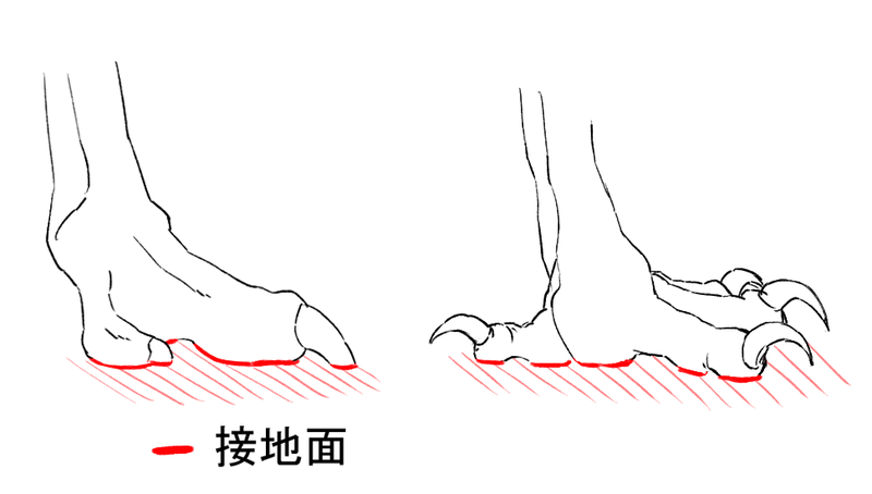 ドランゴの足の描き方