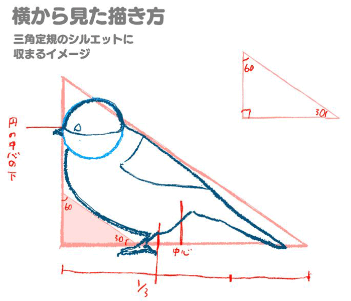 特徴を押さえて描こう 鳥の描き方講座 スズメ編 いちあっぷ