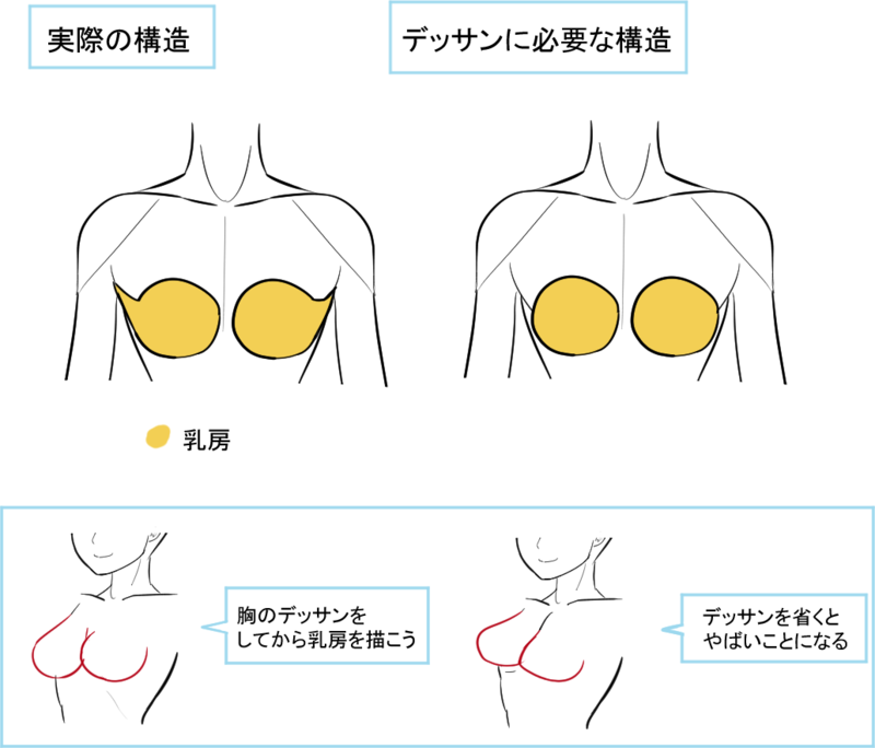 アタリの位置が最重要 乳房の描き方 いちあっぷ