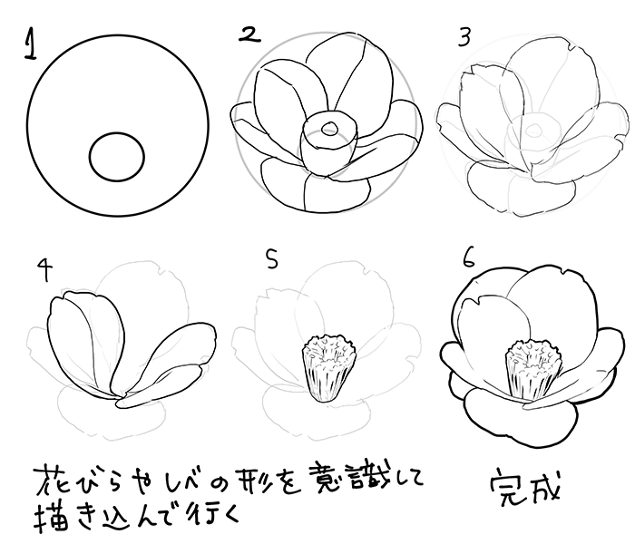 和の花 植物の描き方4選 椿 乙女椿 紫陽花 桜 いちあっぷ