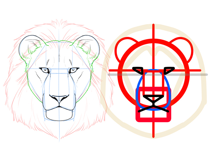 ライオンの描き方