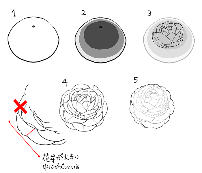 和の花 植物の描き方4選 椿 乙女椿 紫陽花 桜 いちあっぷ