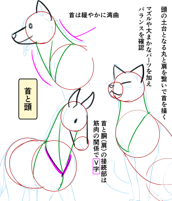 特別訳あり特価 動物を描く アート エンタメ News Elegantsite Gr