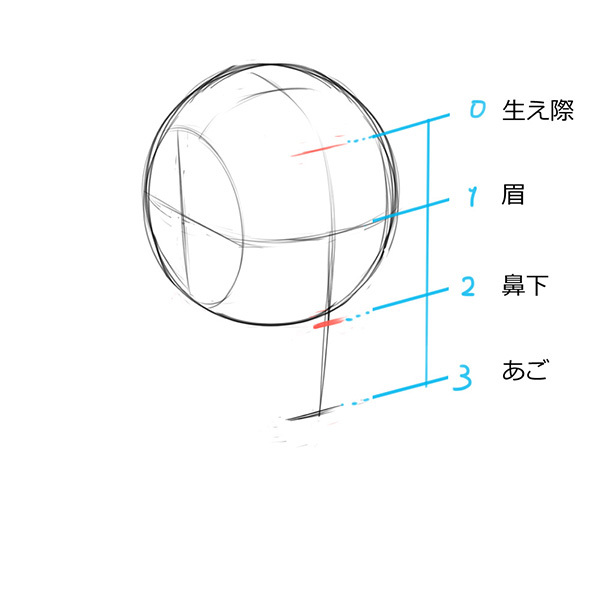 まずは比率を分析 リアルな顔の描き方が分かるアタリの取り方 いちあっぷ