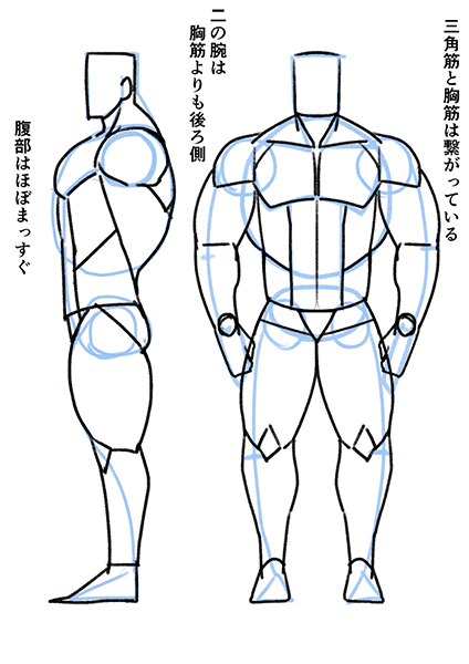 筋肉を描くコツはバランスとシルエット ゴリマッチョの描き方講座 いちあっぷ