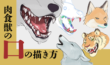 肉食獣の口の描き方