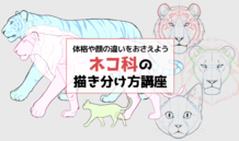 体格や顔の違いをおさえよう！ ネコ科の描き分け方講座