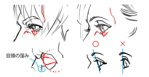 基本から徹底解説 正面顔と横顔の描き方 いちあっぷ