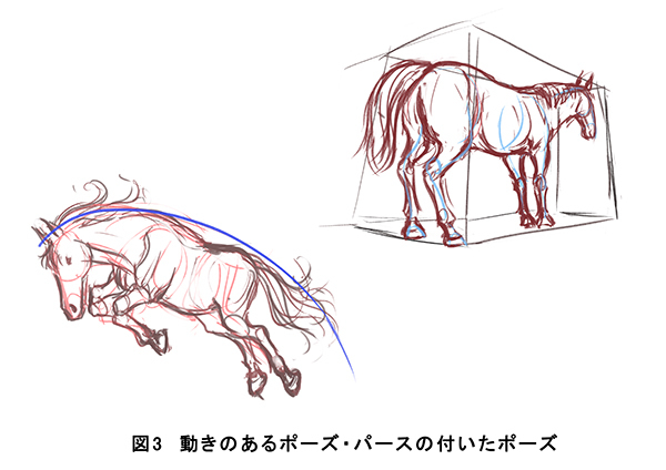 ウマを描いて実践 動物の描き方の基礎 いちあっぷ