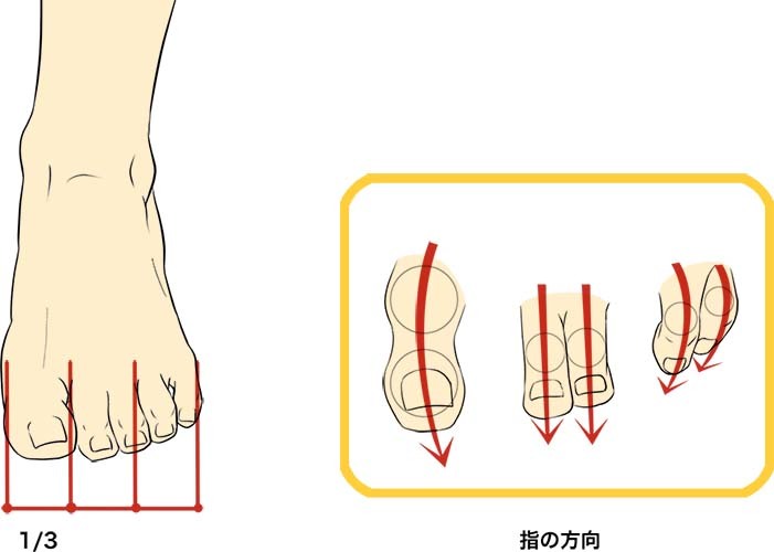 あなたは解けるかな クイズに答えてスキルアップ 脚と足の描き方講座 いちあっぷ