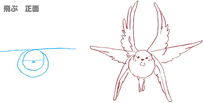 飛ん でる 鳥 イラスト