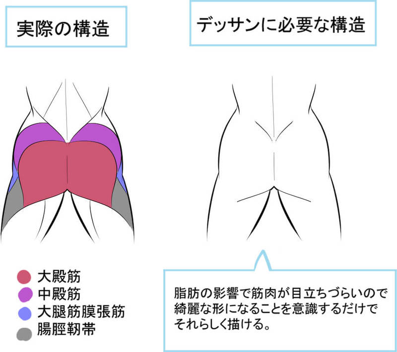 構造を理解すれば魅力倍増 お尻の描き方講座 いちあっぷ