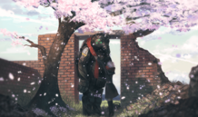 【開花】桜特集 壱