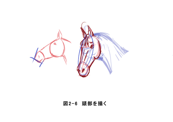 動物 馬 描き方