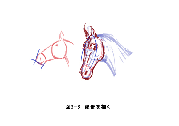 ウマを描いて実践 動物の描き方の基礎 いちあっぷ