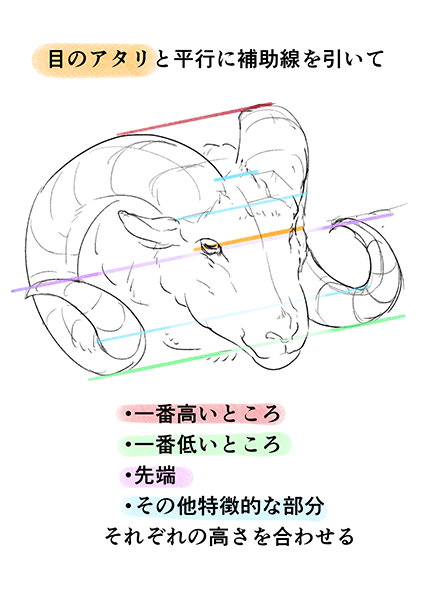 動物にもモンスターにも使える ツノの描き方 いちあっぷ