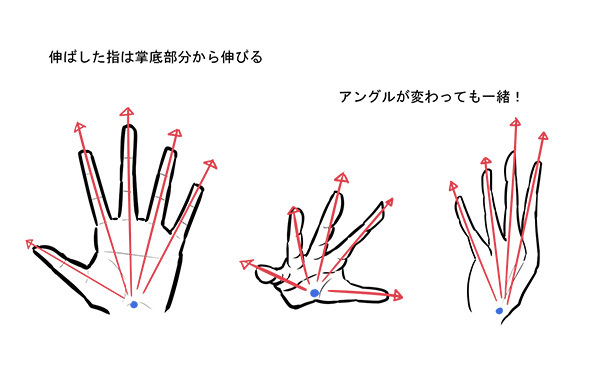 ４つの膨らみ と 消失点 を押さえれば自由自在 手の描き方のキホン いちあっぷ