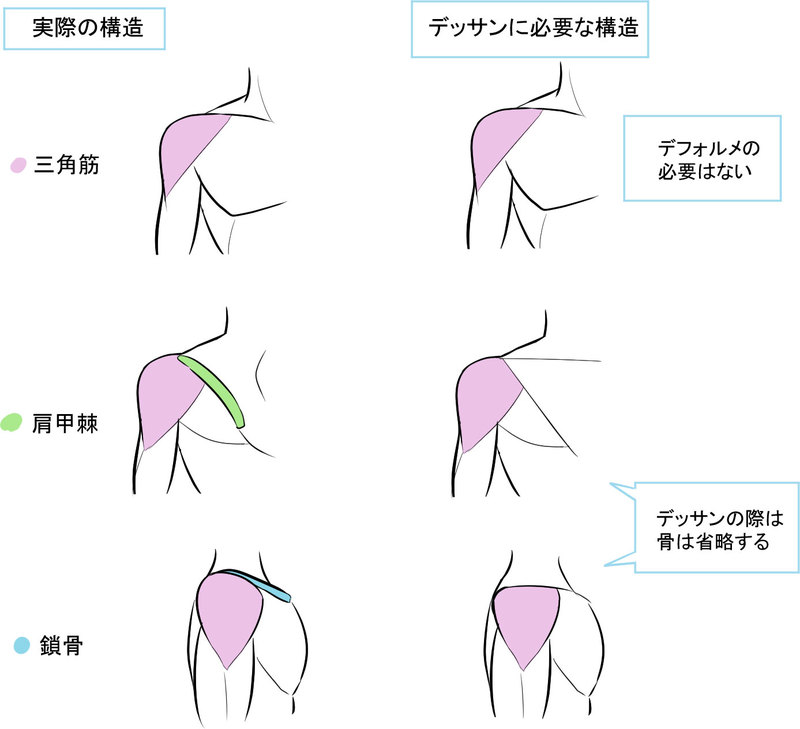 形の丸暗記で地盤を固める 肩の描き方 いちあっぷ