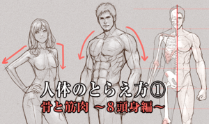 人体のとらえ方①　骨と筋肉　～8頭身編～