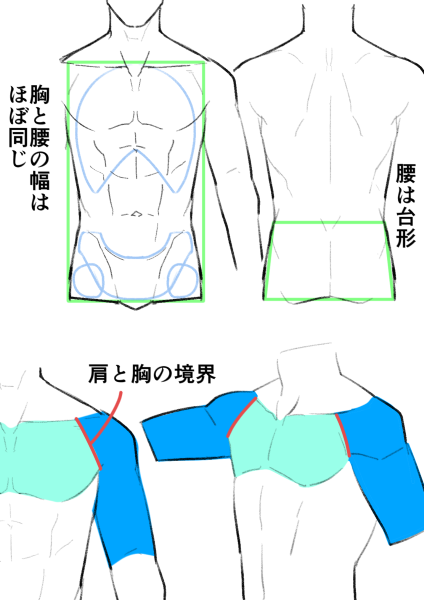 上半身 基本編 Kitajimaのお絵かき研究所