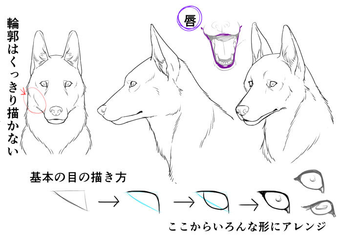 身体の仕組みから考える 獣人を描き方講座 いちあっぷ