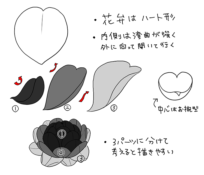 和の花 植物の描き方4選 椿 乙女椿 紫陽花 桜 いちあっぷ