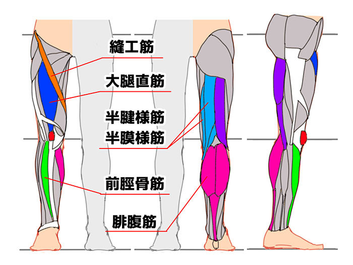 筒状を意識して描くのがコツ 脚 足の描き方講座 いちあっぷ