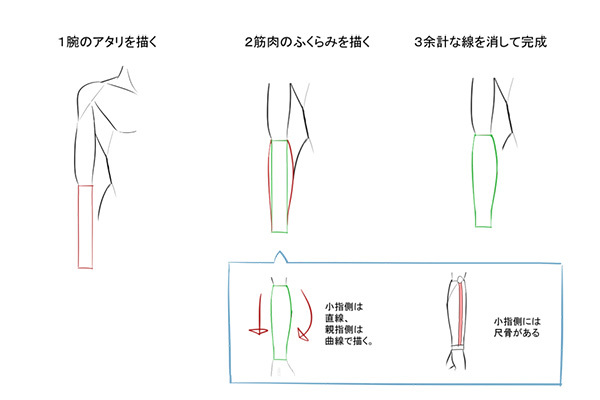 構造と比率を覚えれば上達できる 腕の描き方講座 いちあっぷ