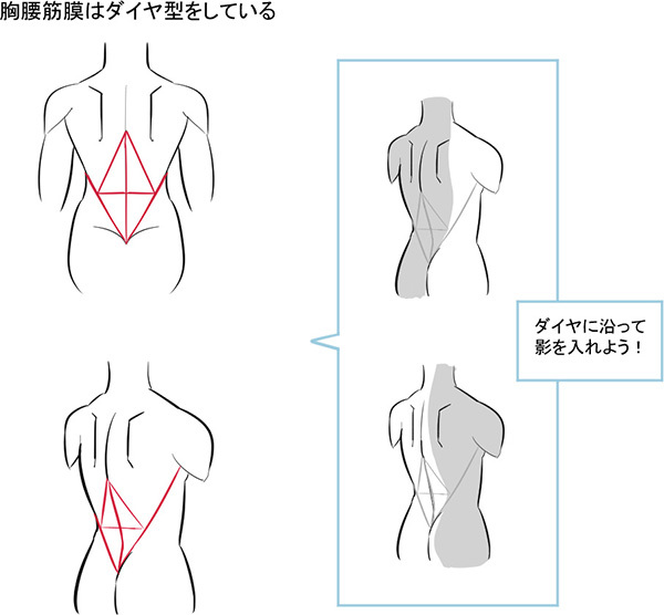 3つのパーツだけ覚えよう シンプルに考える背中の描き方 いちあっぷ