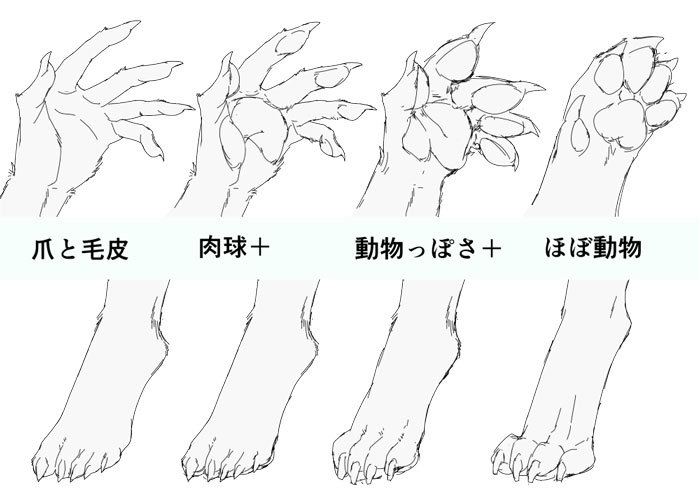 身体の仕組みから考える 獣人を描き方講座 いちあっぷ