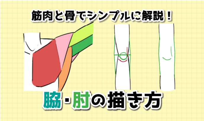 筋肉と骨でシンプルに解説 脇 肘の描き方 いちあっぷ